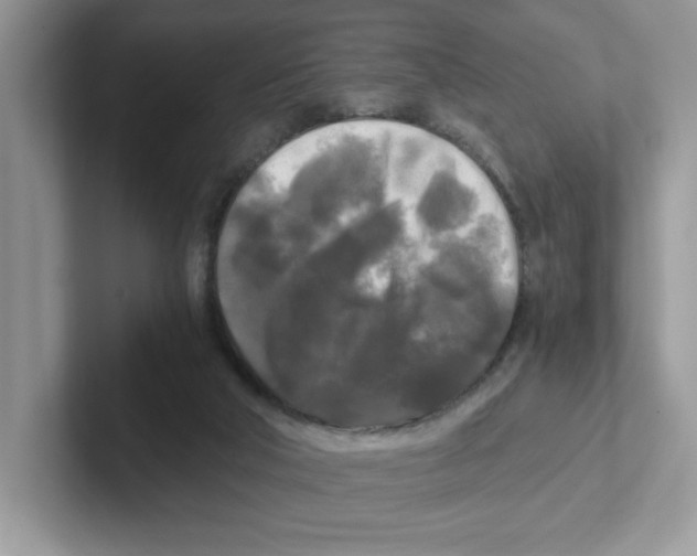 X0000100940018200807221207