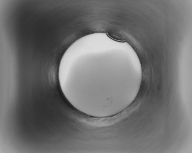 X0000100940023200807221207