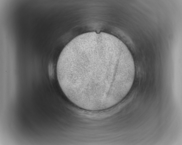 X0000100940026200807221207