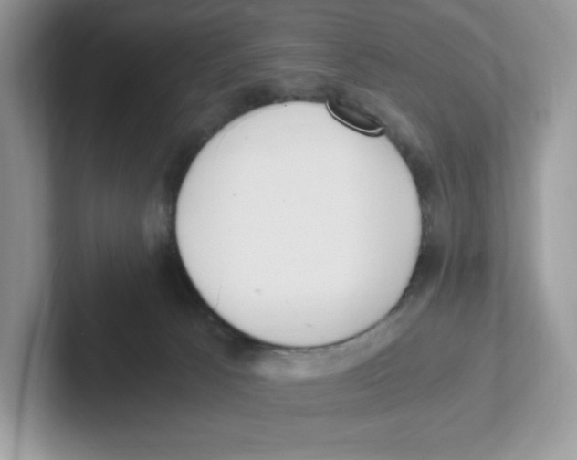 X0000100940033200807221206