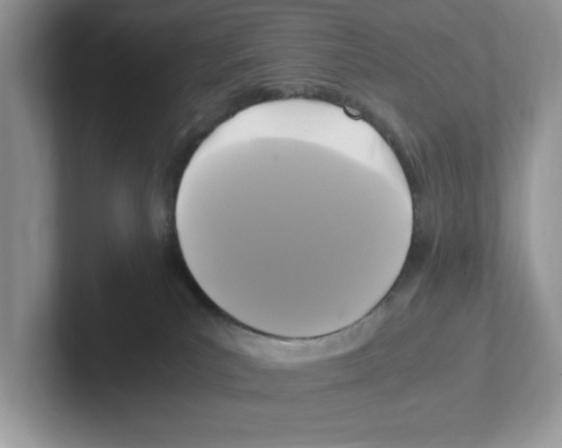 X0000100940039200807221206