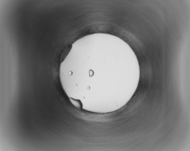 X0000100940040200807221206