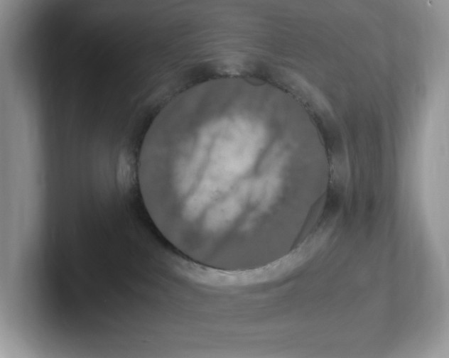 X0000100940043200807221206