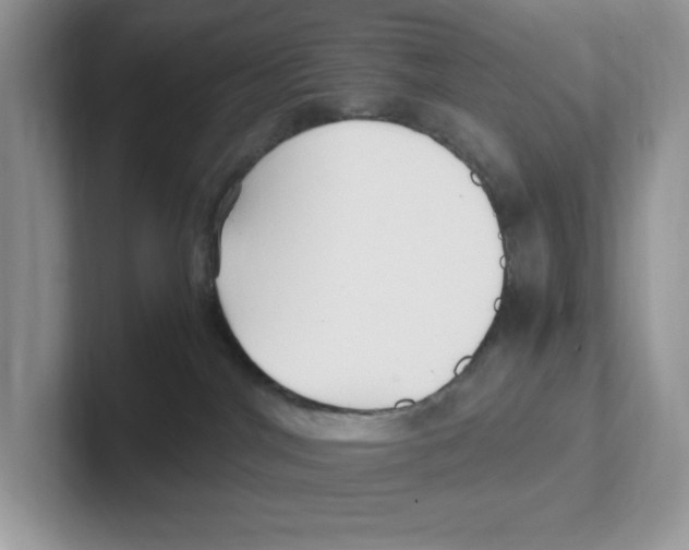 X0000100940044200807221206