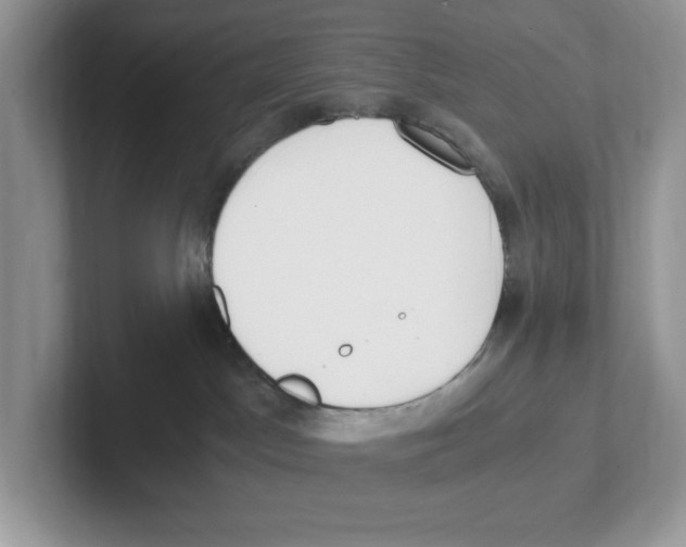 X0000100940045200807221206