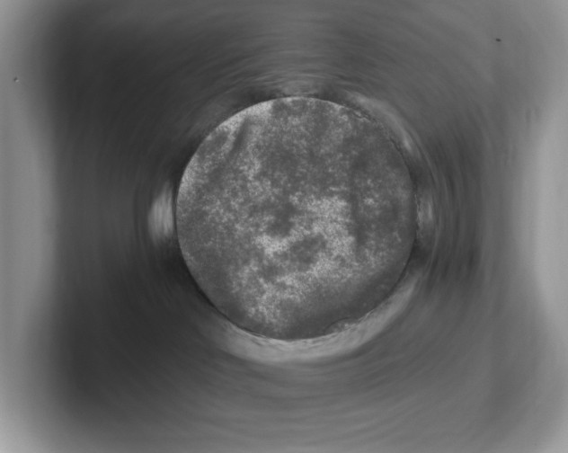 X0000100940046200807221206