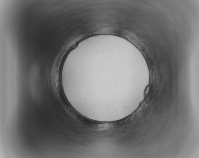 X0000100940050200807221206