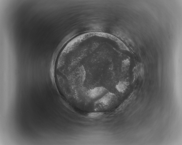 X0000100940051200807221206