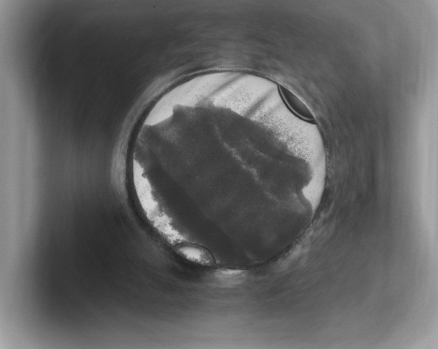 X0000100940055200807221206