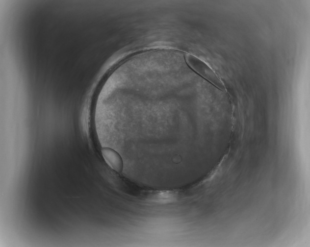 X0000100940056200807221206