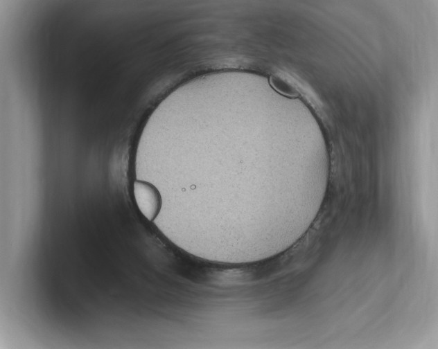 X0000100940058200807221206