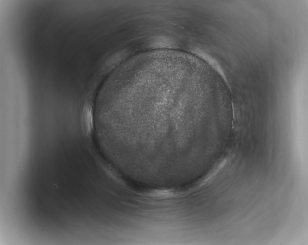 X0000100940061200807221206