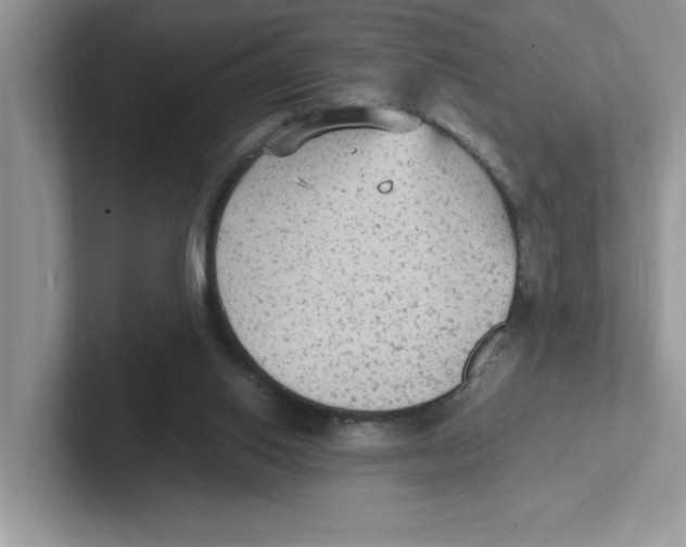 X0000100940062200807221206