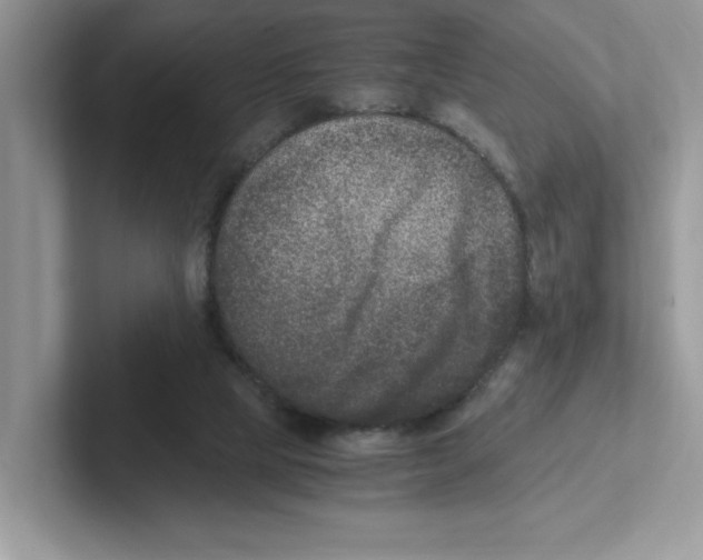 X0000100940065200807221206