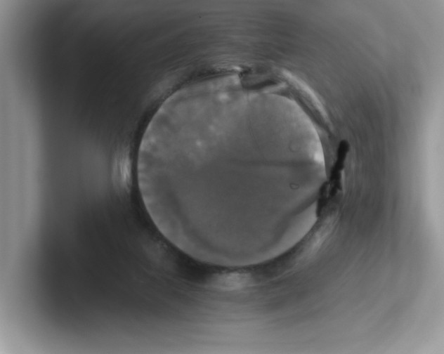 X0000100940067200807221206