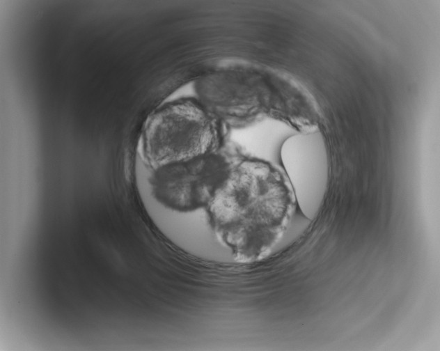 X0000100940069200807221206