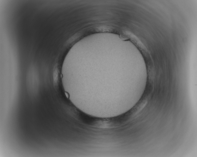 X0000100940071200807221206