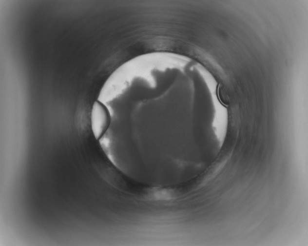 X0000100940073200807221206