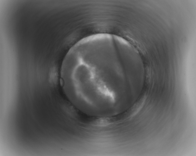 X0000100940080200807221206