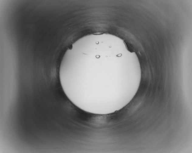 X0000100940084200807221206