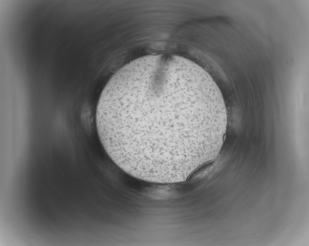 X0000100940086200807221206