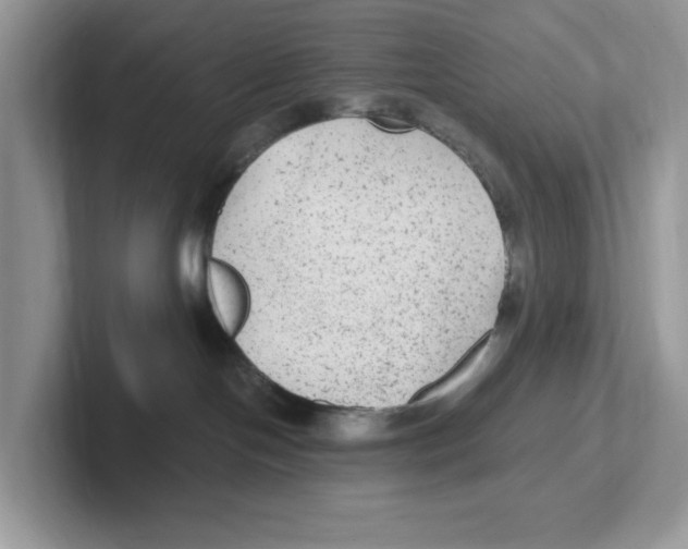 X0000100940094200807221206