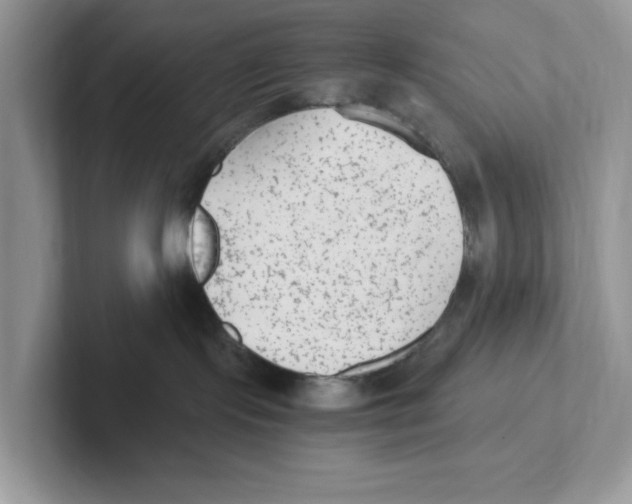 X0000100940095200807221206