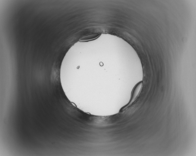 X0000100940096200807221206