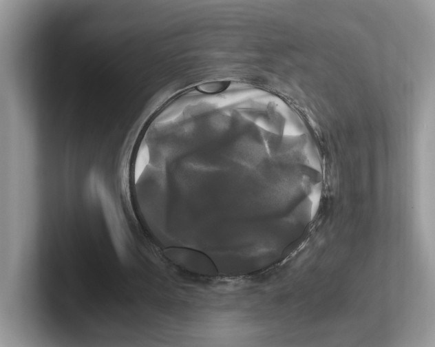 X0000100940099200807221206