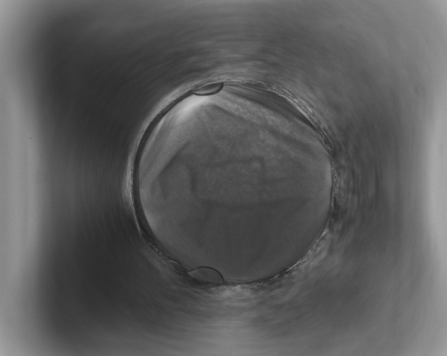 X0000100940100200807221206