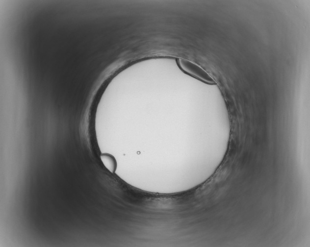 X0000100940104200807221206