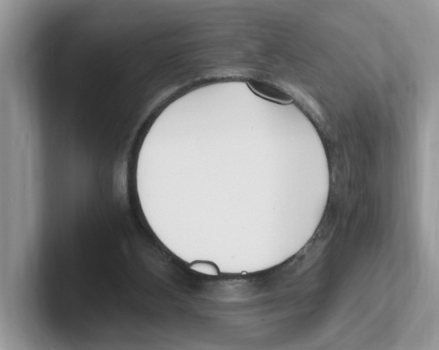 X0000100940108200807221205