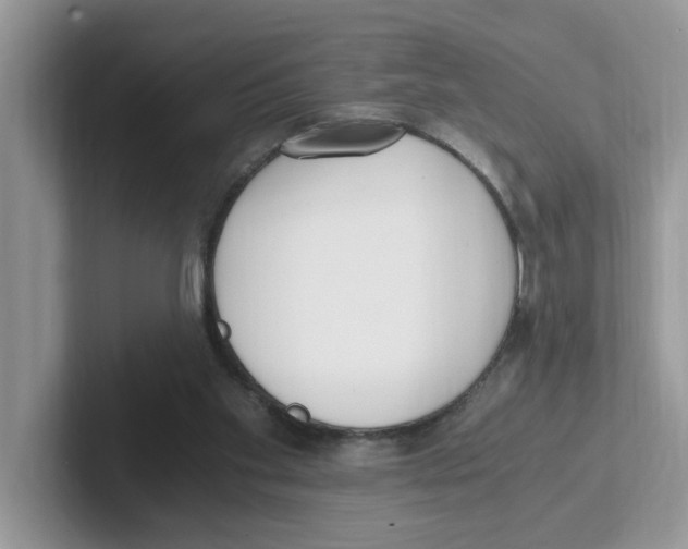 X0000100940109200807221205