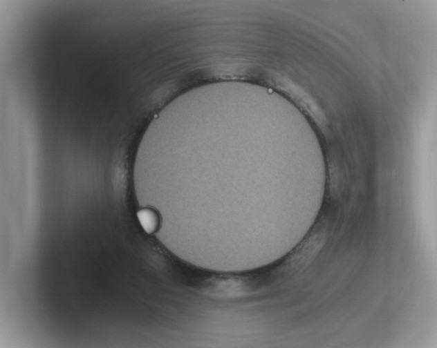 X0000100940113200807221205