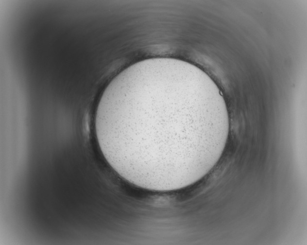 X0000100940115200807221205