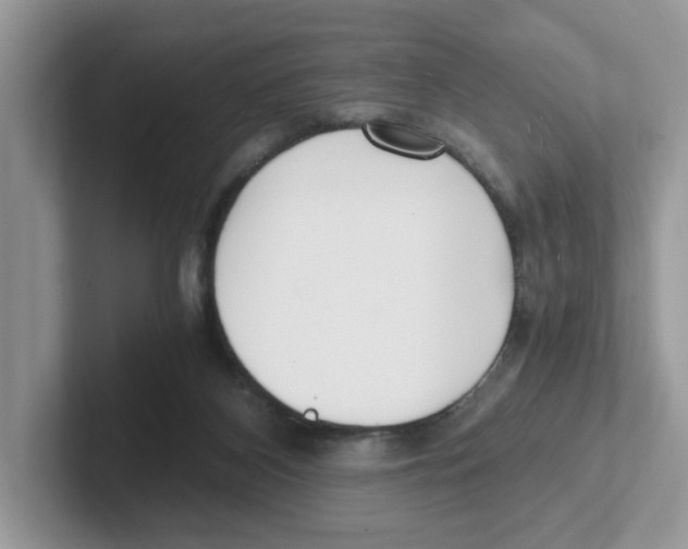 X0000100940116200807221205