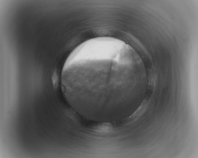 X0000100940124200807221205