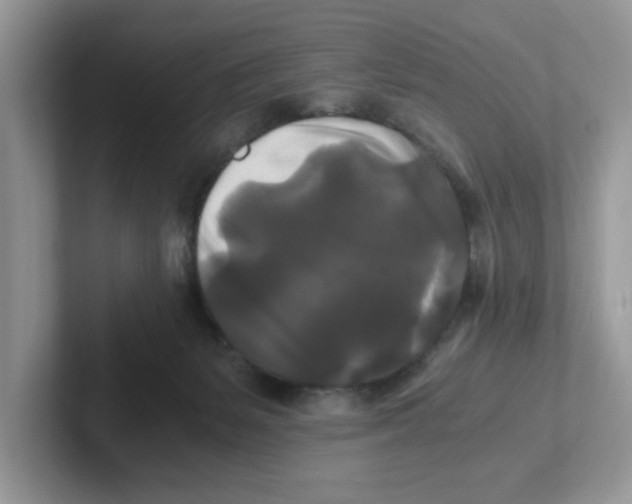 X0000100940127200807221205