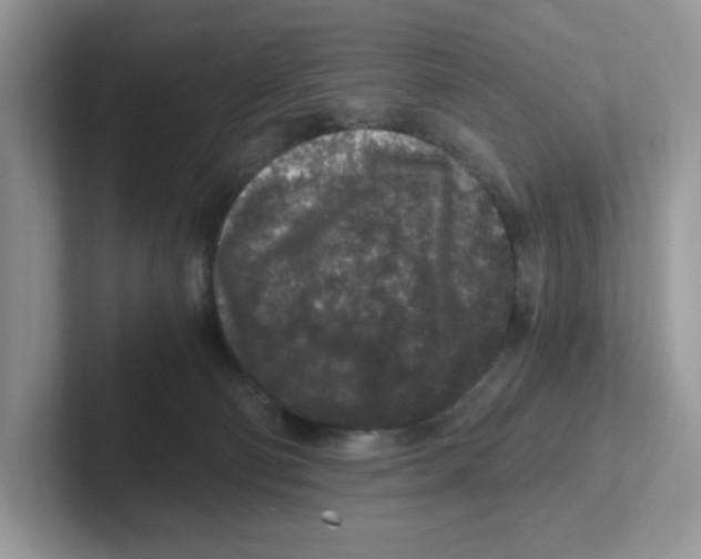 X0000100940130200807221205