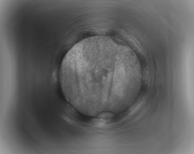 X0000100940131200807221205