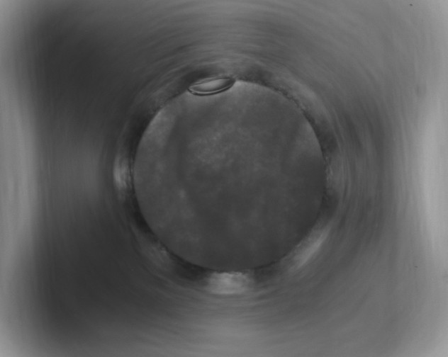 X0000100940137200807221205