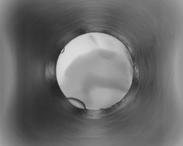 X0000100940143200807221205