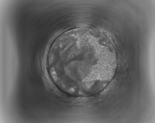 X0000100940145200807221204