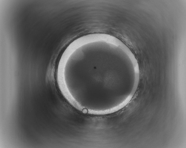 X0000100940146200807221204