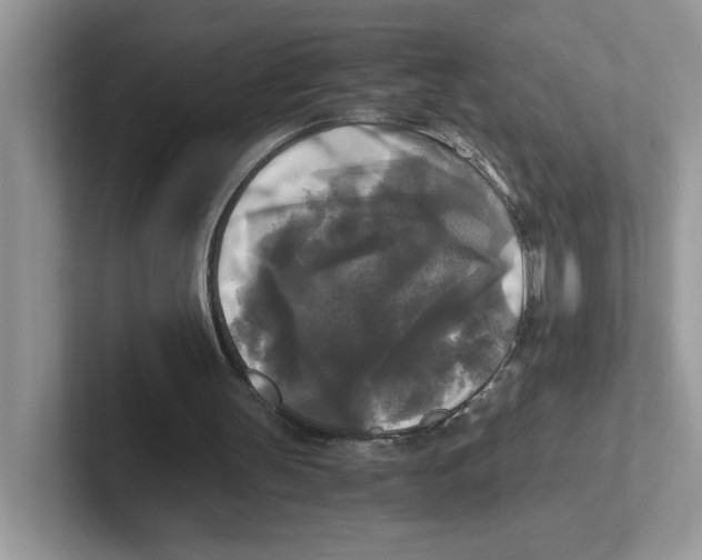 X0000100940147200807221204