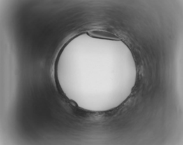 X0000100940148200807221204