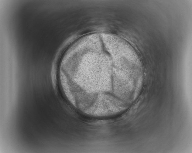 X0000100940149200807221204