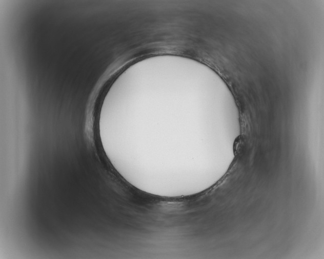 X0000100940150200807221204