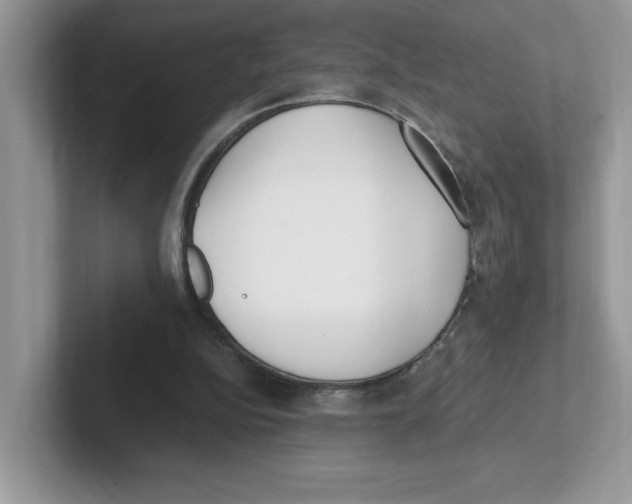 X0000100940152200807221204