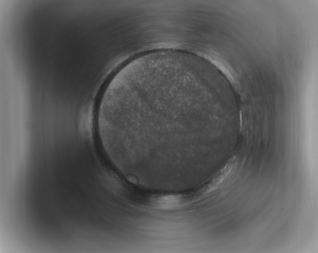 X0000100940156200807221204